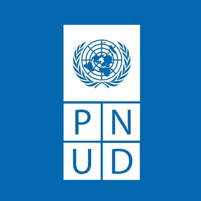 Le PNUD recrute Expert National Macroéconomiste