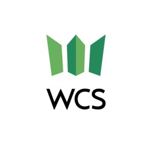 Logo de Winning Consortium Simandou