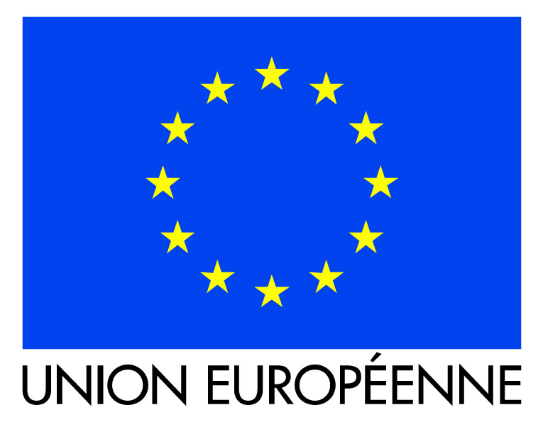 La Délégation de l’Union européenne en Guinée recrute Responsable du budget