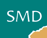 SMD recrute 01 Business Système Analyste