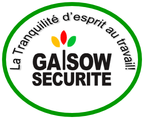 Le Cabinet Gaisow Sécurité lance une nouvelle session de formation et d’insertion professionnelle en Santé Sécurité au Travail