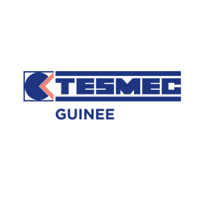 Temsec Guinee recrute un Ingénieur Mécanicien