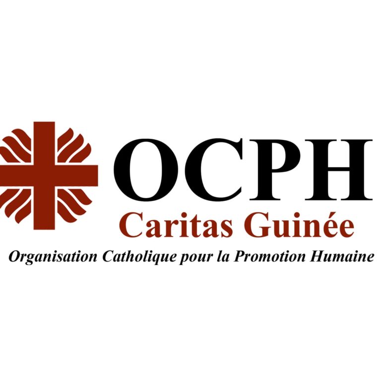 OCPH/Caritas-Guinee recrute des Animateurs