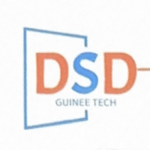 DSD GUINEE