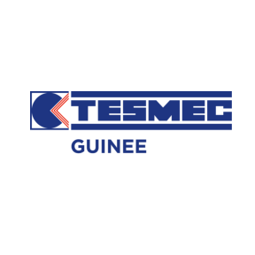 TESMEC GUINEE recrute un Agent Logistique